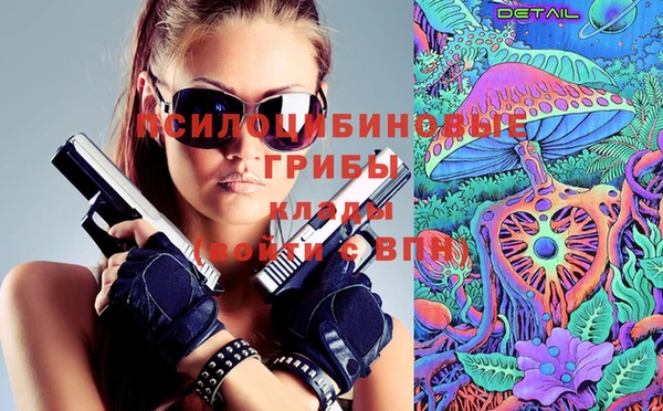 мдпв Михайловск