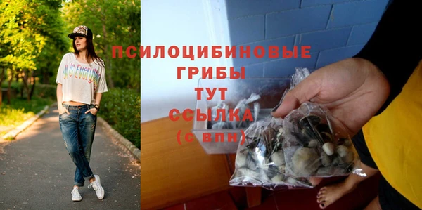 мдпв Михайловск